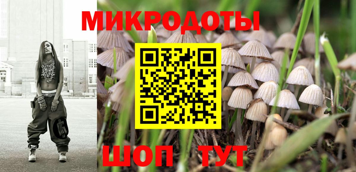 Галлюциногенные грибы Cubensis  Вход с VPN  Гагарин 